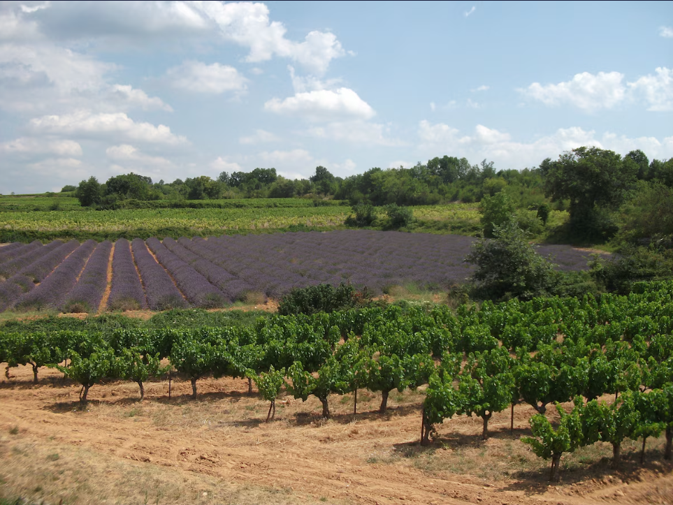 Gite-Vinezac-REF1478526