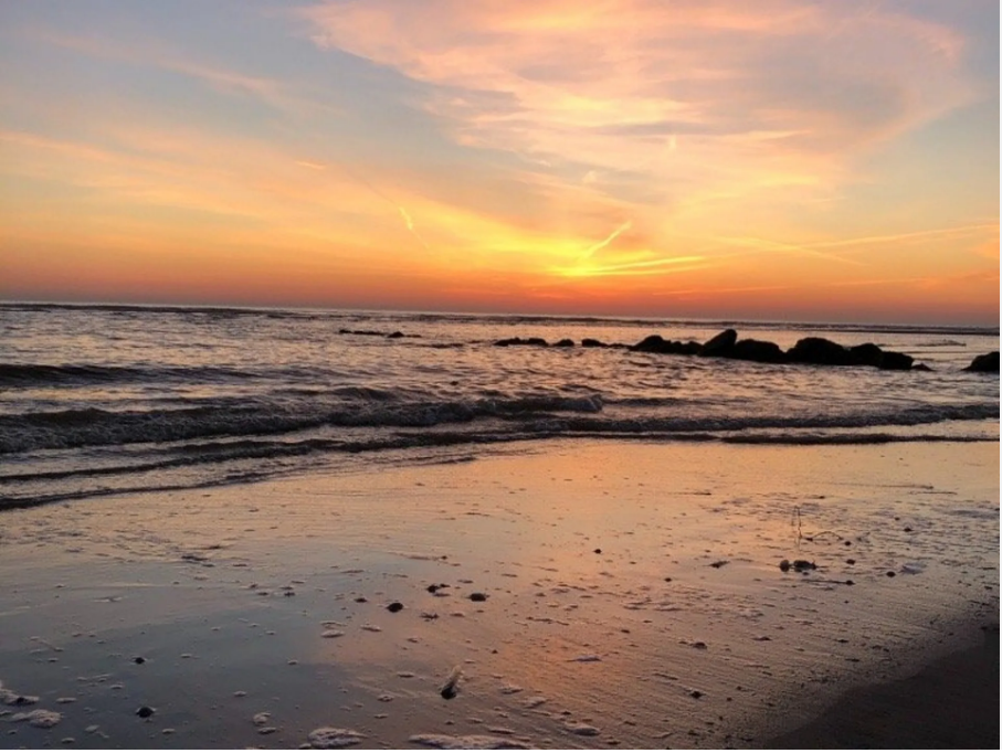 Appartement-Berck-Plage-REF1236548