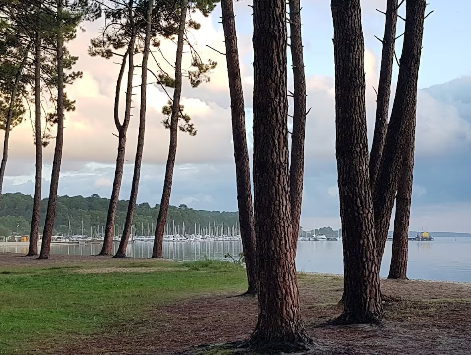 Maison-Biscarrosse-REF7415456