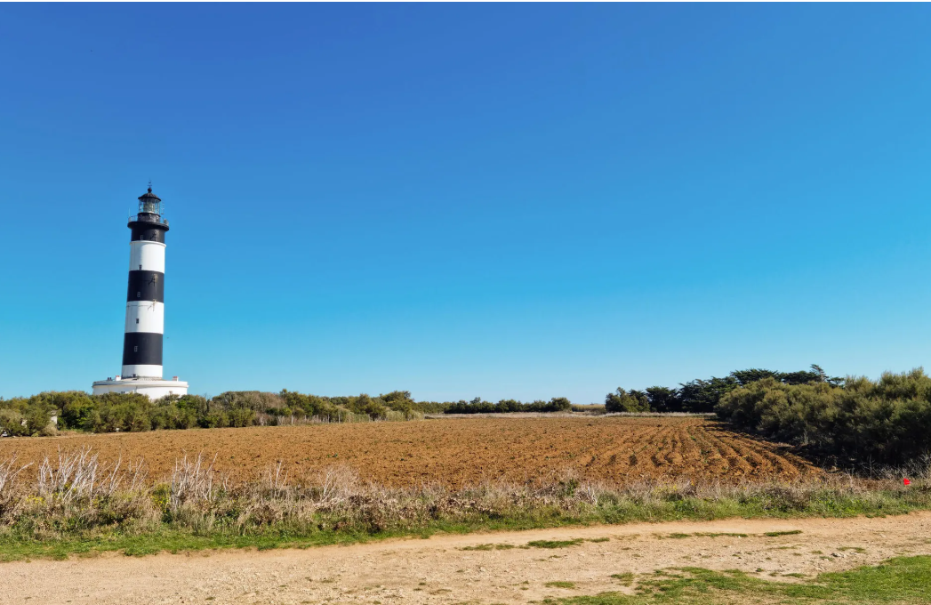 Maison-Saint-Georges-de-Didonne-REF7539635