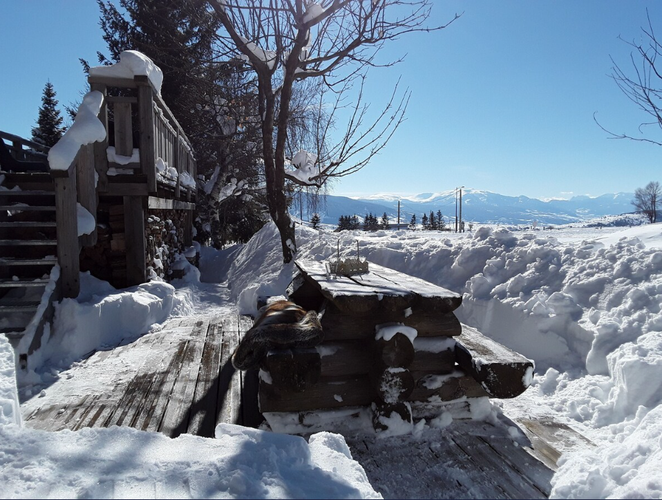 Chalet-Bolquere-REF4569874