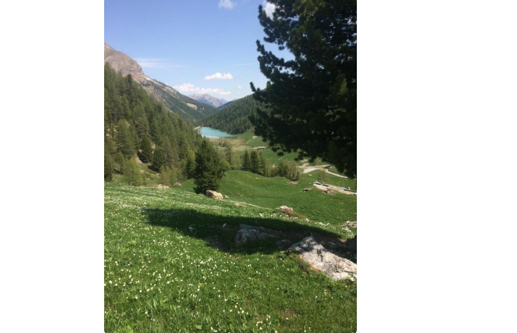 Chalet-Lac-de-lOrceyrette-REF1784563