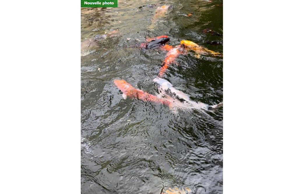 Maison-Espinho-REF8527536